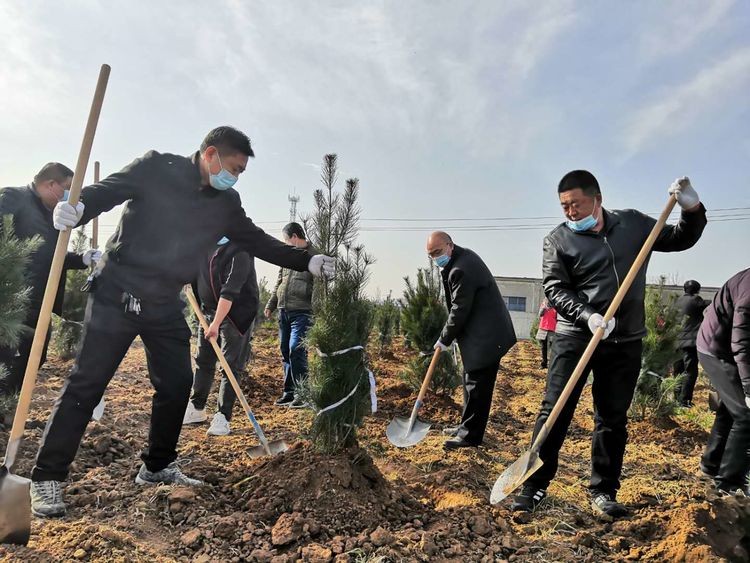 20200312义务植树 (24)