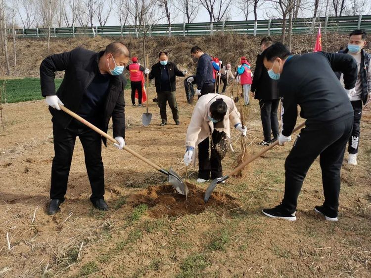 20200312义务植树 (6)