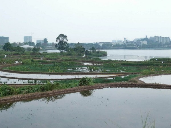 微信图片_20200903104047.jpg2