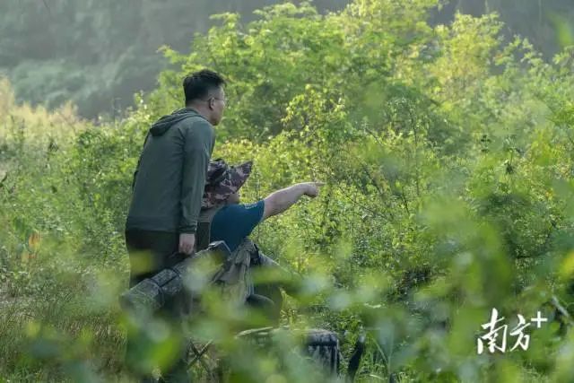 观鸟人常常“躲”在岸边的草丛里,密切关注着“精灵”们的动态。李达 摄 图片