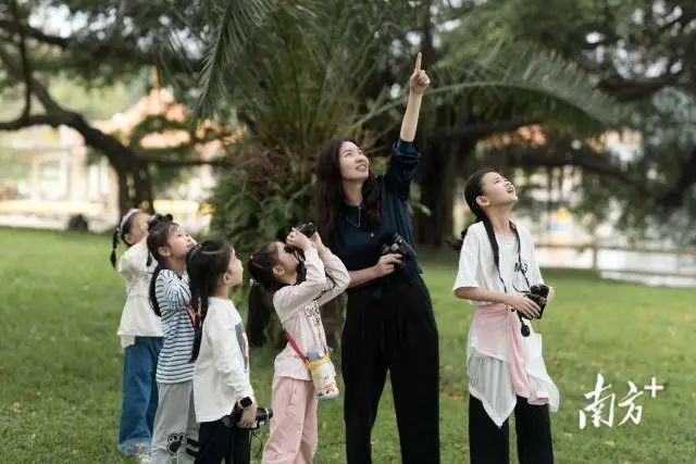小学员在观鸟人的带领下,学习观察鸟类活动。 图片