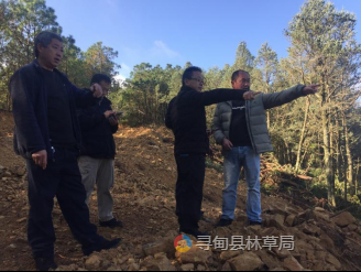 加强林业基础设施规划建设，促进森林资源保护与利用 （2024年 第13期）214