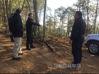加强林业基础设施规划建设，促进森林资源保护与利用 （2024年 第13期）215