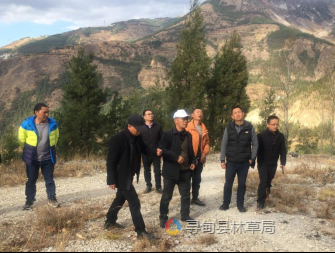 加强林业基础设施规划建设，促进森林资源保护与利用 （2024年 第13期）442