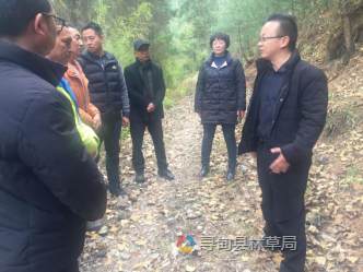 加强林业基础设施规划建设，促进森林资源保护与利用 （2024年 第13期）441
