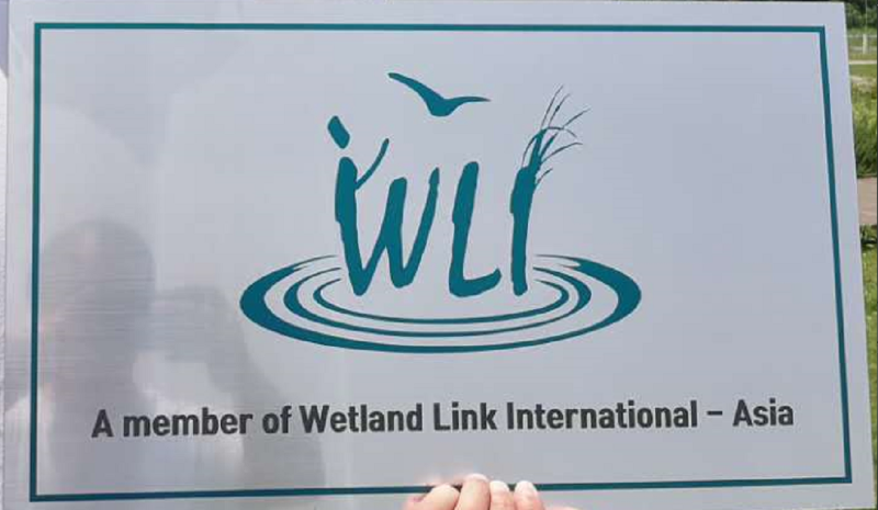 a member of werland link international-asia_看图王