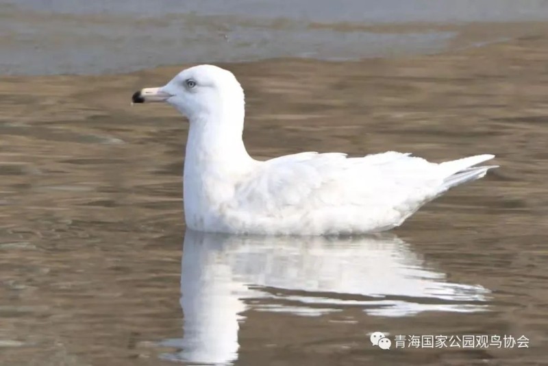 微信图片_20220302173105