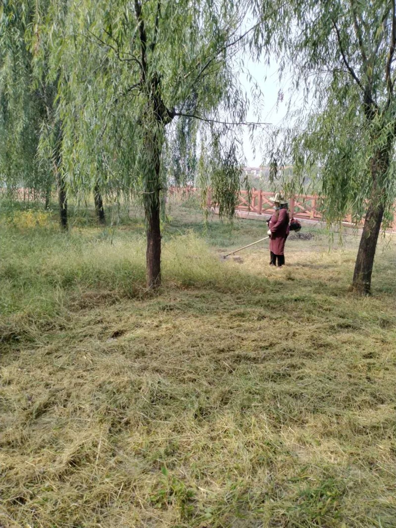 微信图片_20200922103553
