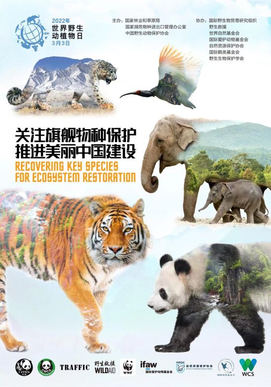 世界