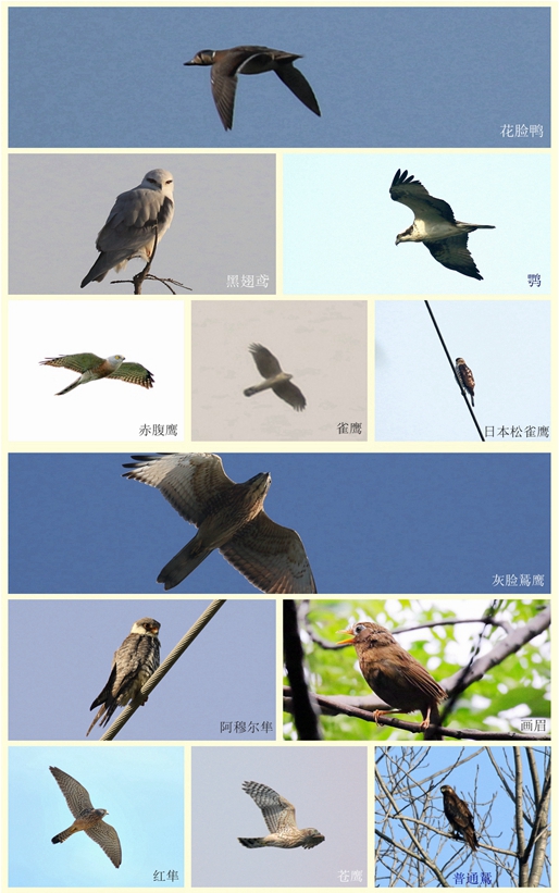 neoimage_副本  11