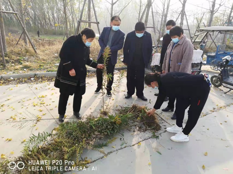 微信图片_20211118154720