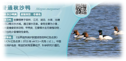 1585102057(1).png