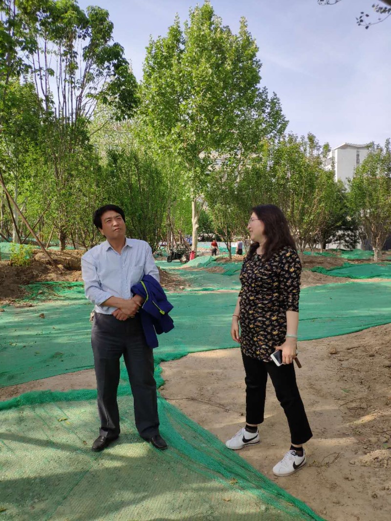 东城微信图片_20190509163325
