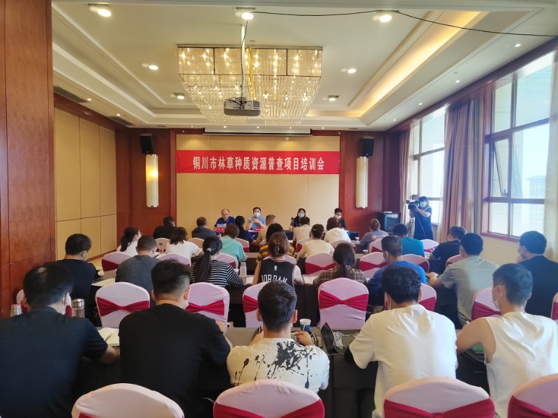 微信图片_20220615151837