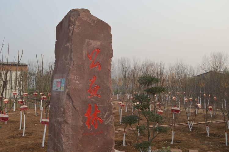 微信图片_20181222061628