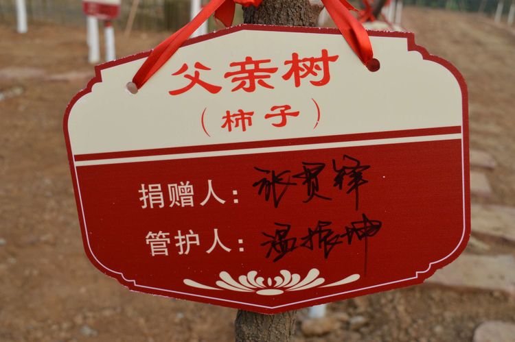 微信图片_20181222061638
