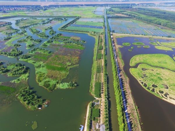 湿地鸟瞰