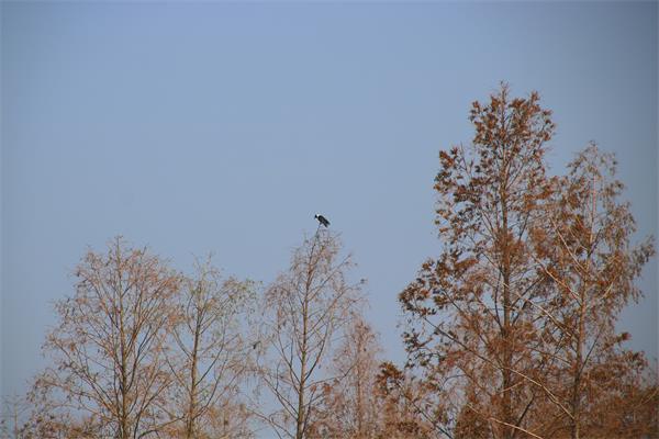 img_2587