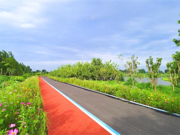 202207湿地绿道