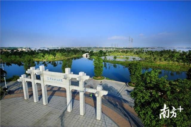 中山市东凤镇莺哥咀水文公园。市林业局供图