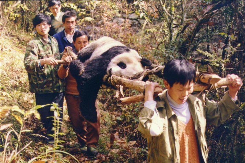 抢救23