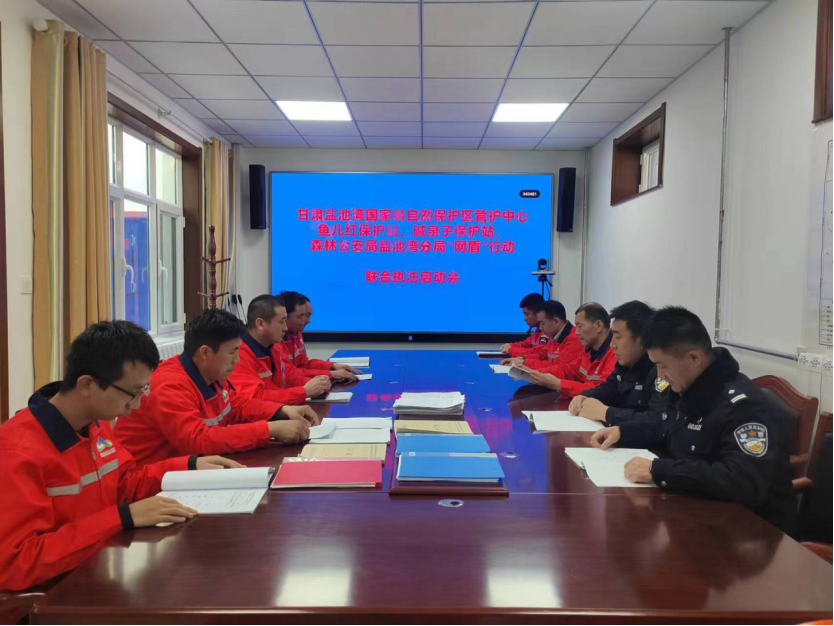 简报1.png