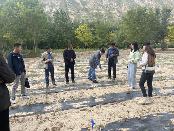 甘肃省林草局及甘农大专家检查指导兰州市种苗工作照片2