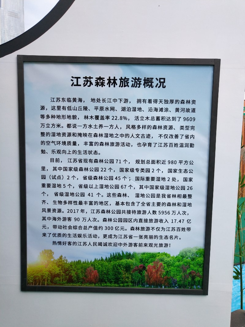 概况