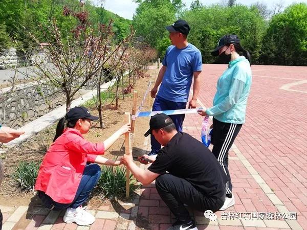 微信图片_20190521084811