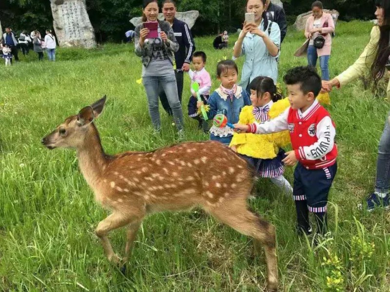 微信图片_20220908090310