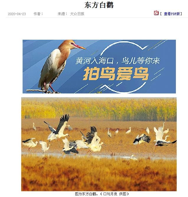 360截图20200511100955578