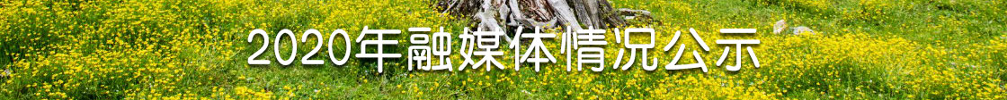 2020年融媒体情况公示
