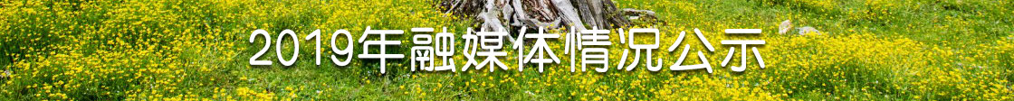 2019年融媒体情况公示